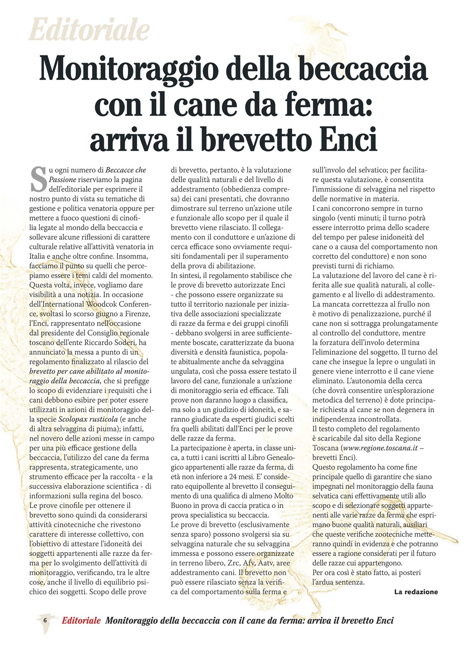 BECCACCE CHE PASSIONE Preview Pages