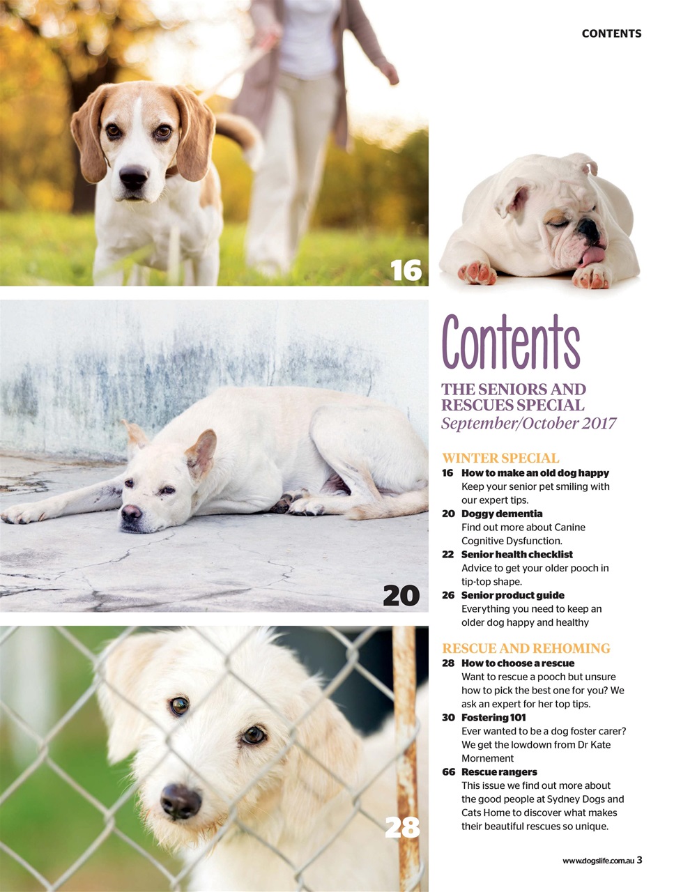 Dogs Life Preview Pages