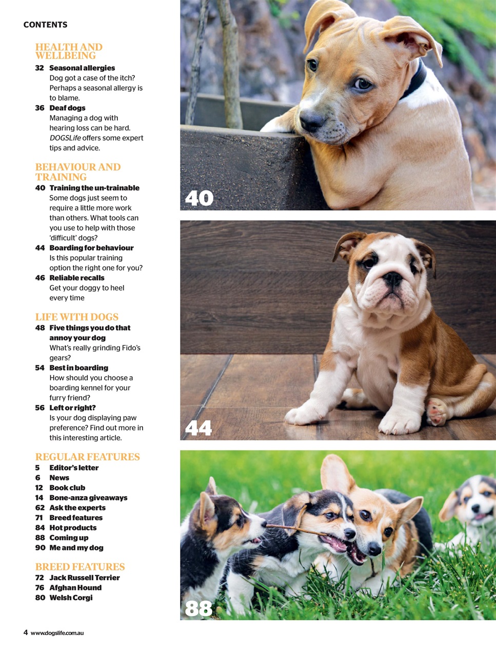 Dogs Life Preview Pages