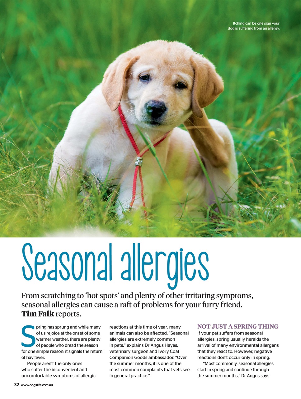 Dogs Life Preview Pages