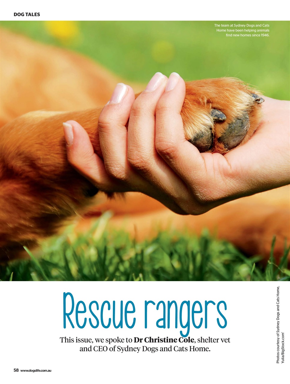 Dogs Life Preview Pages