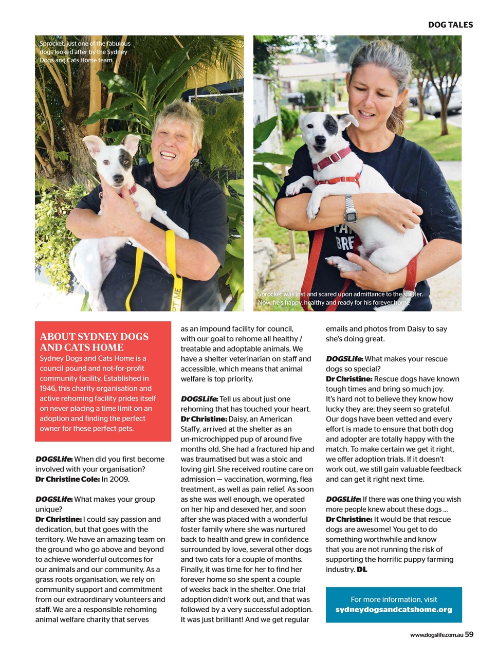 Dogs Life Preview Pages