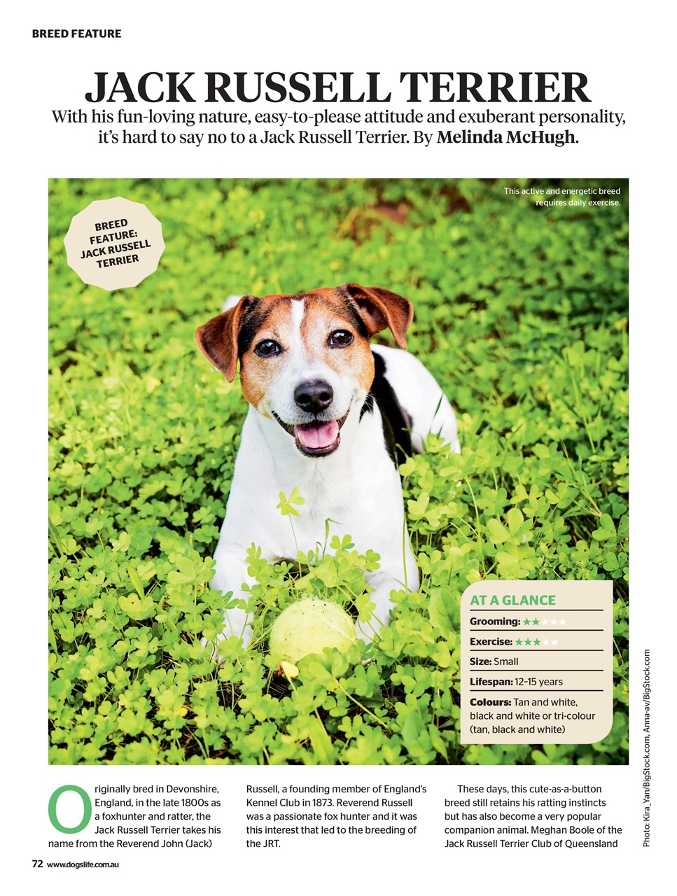 Dogs Life Preview Pages