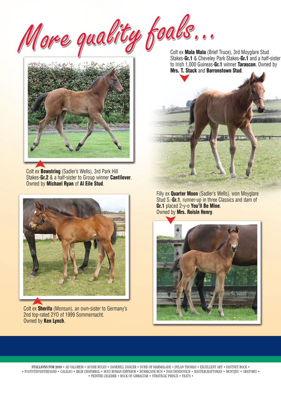 The Owner Breeder Preview Pages