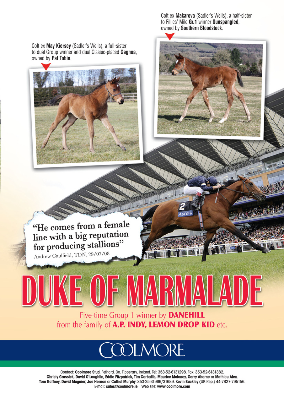 The Owner Breeder Preview Pages