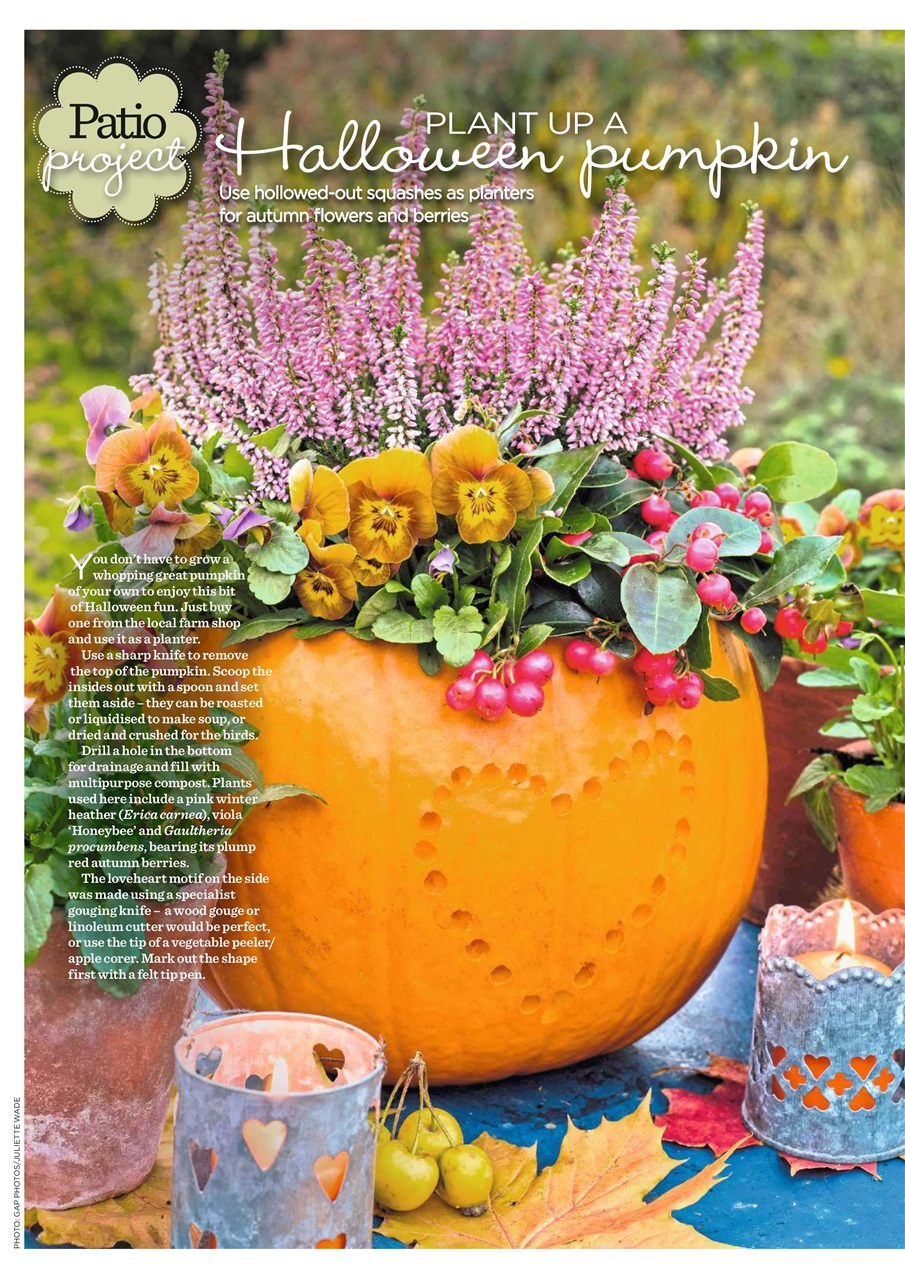 Garden Answers Preview Pages