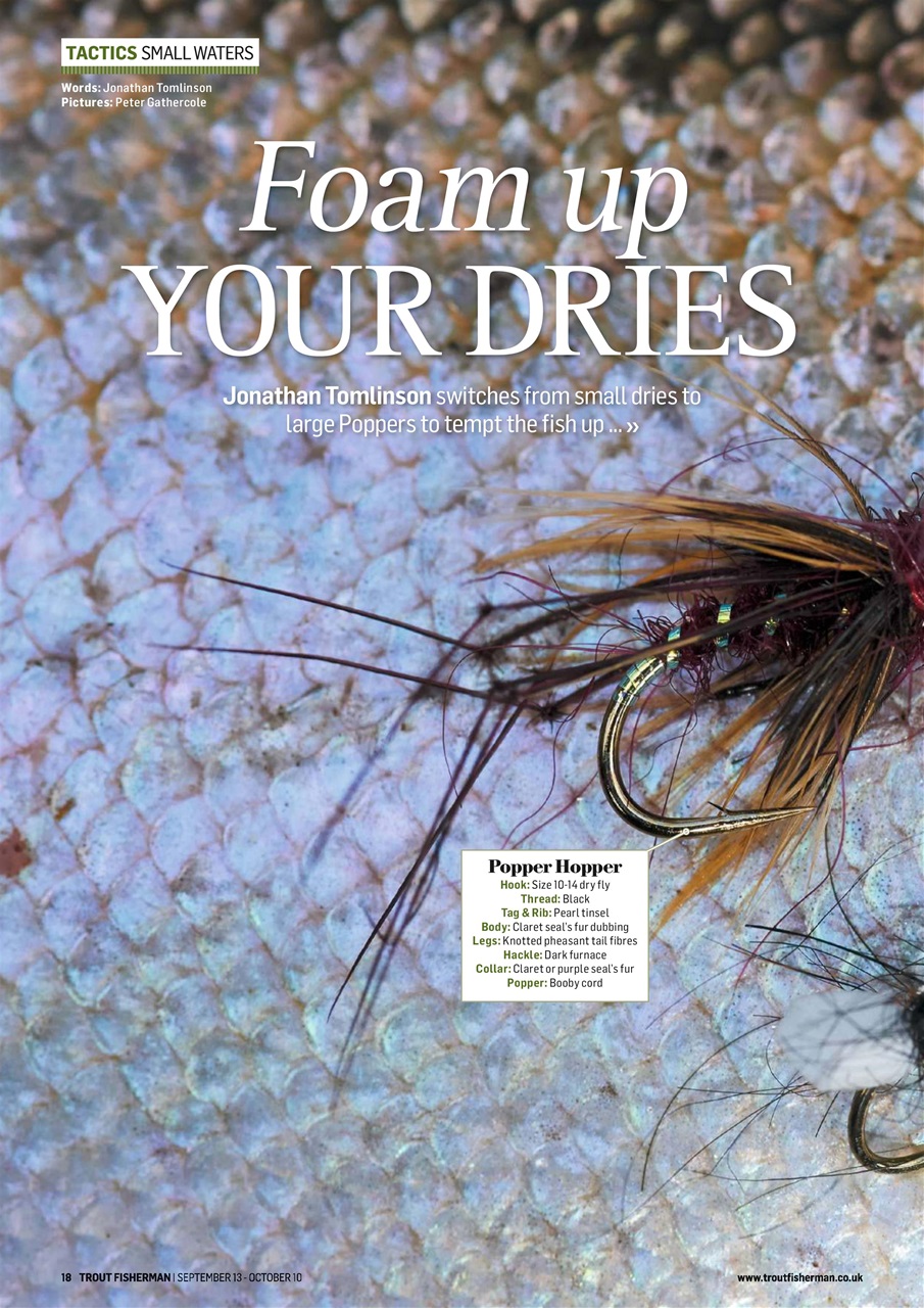 Trout Fisherman Preview Pages