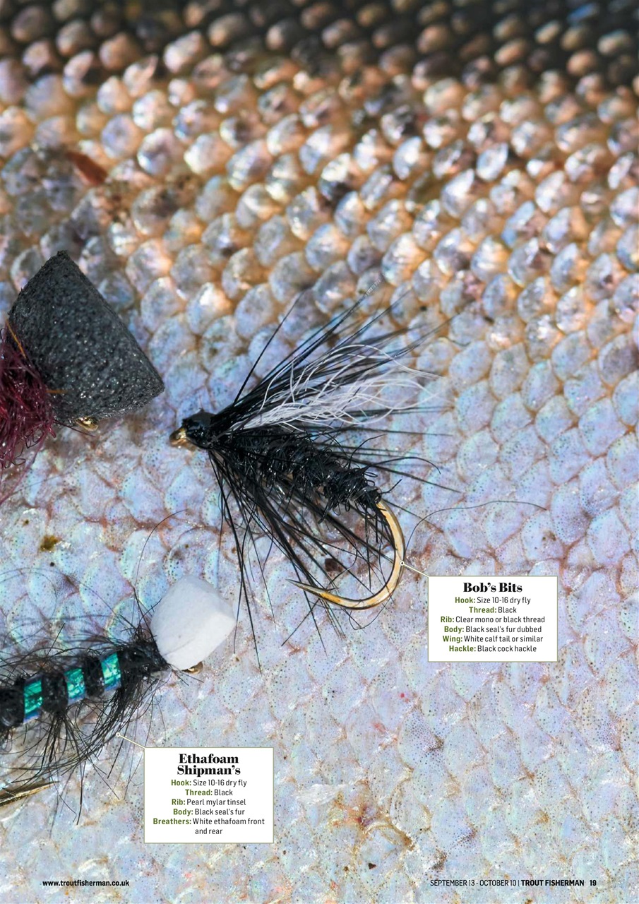 Trout Fisherman Preview Pages
