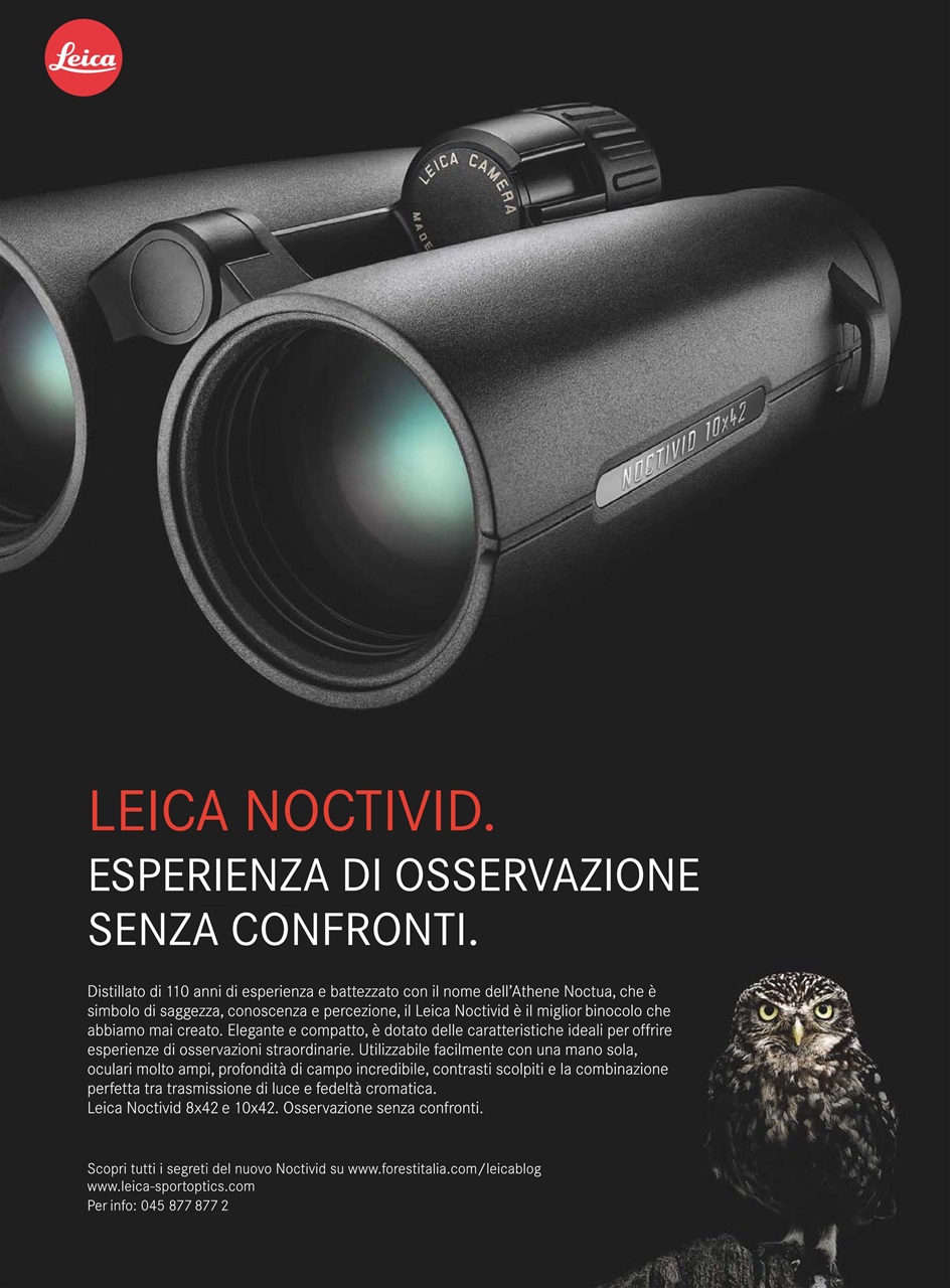 Caccia Magazine Preview Pages