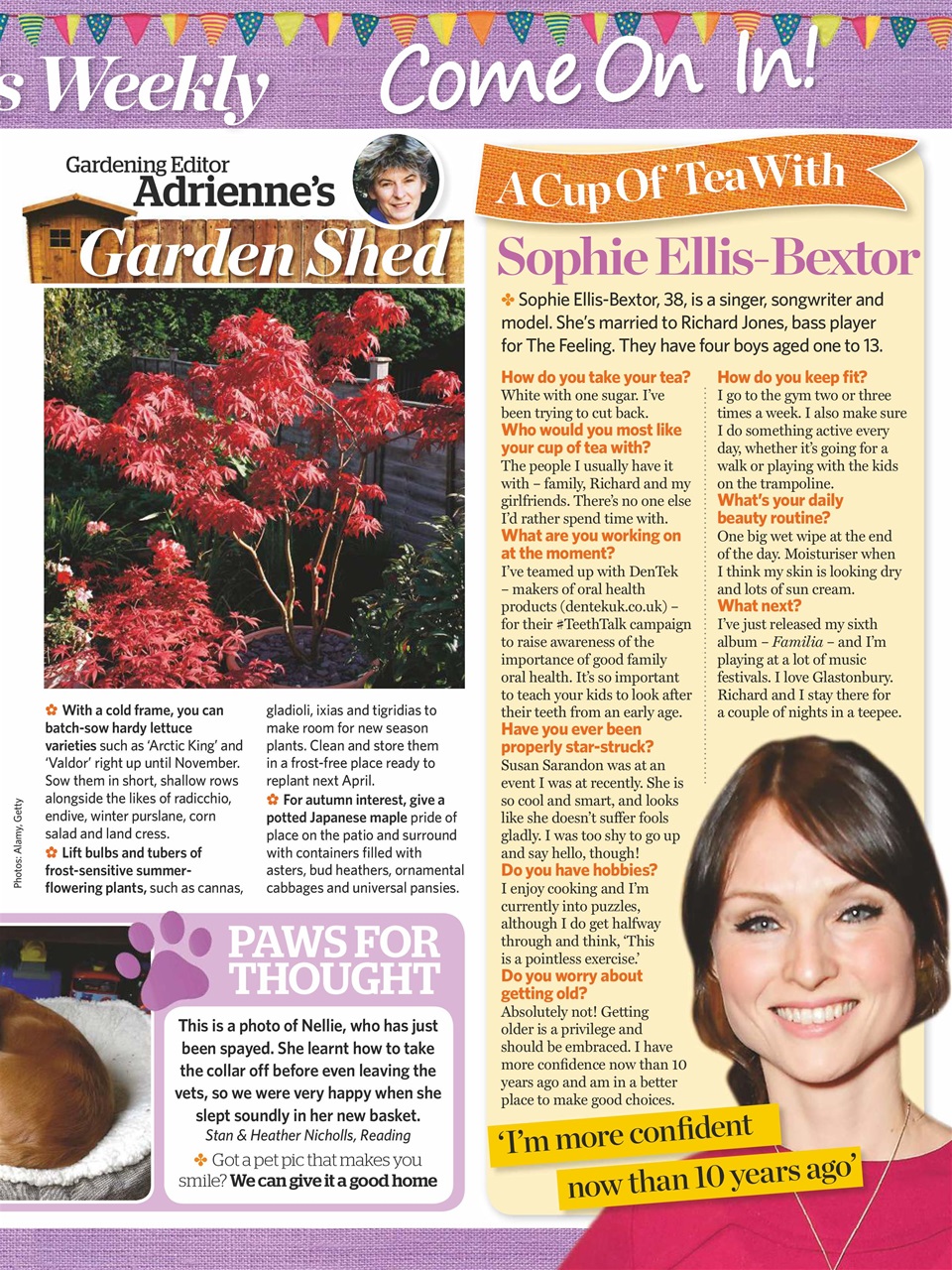 Woman's Weekly Preview Pages