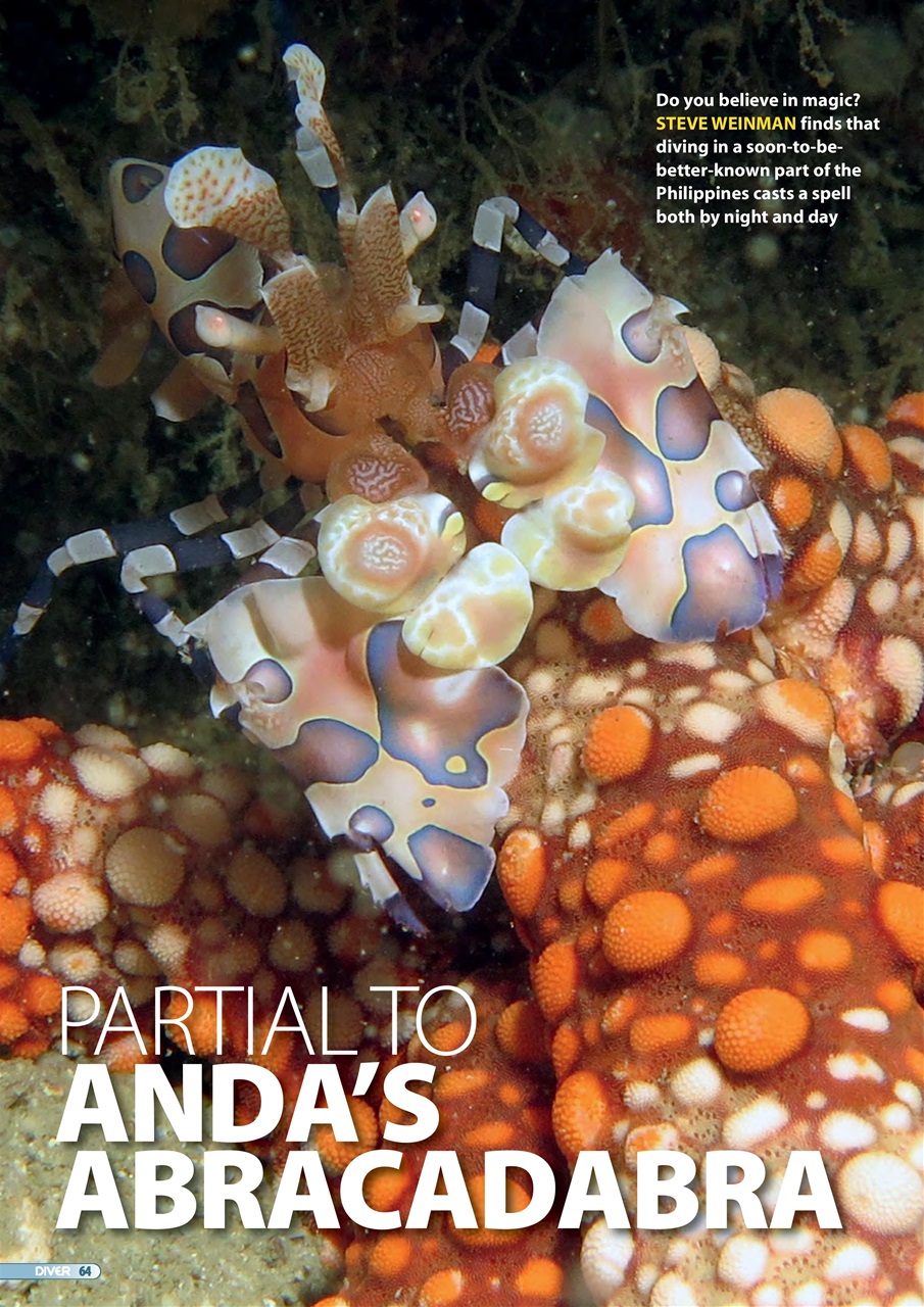 DIVER Preview Pages