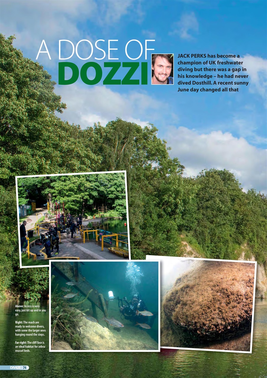 DIVER Preview Pages