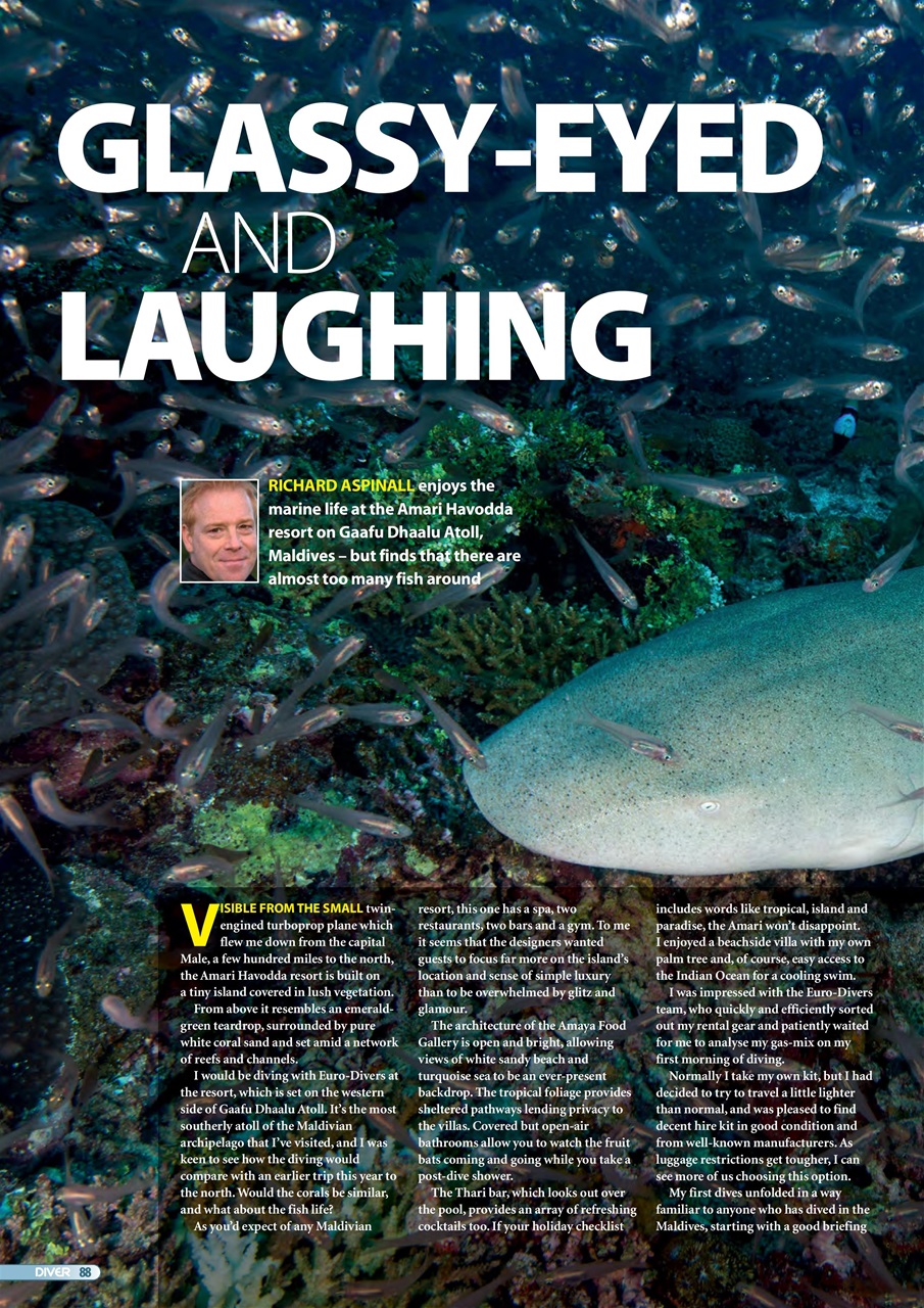 DIVER Preview Pages