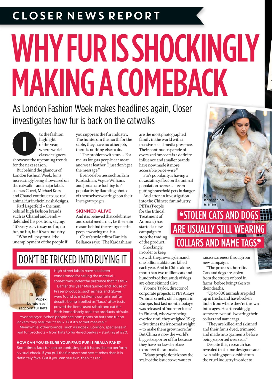 Closer Preview Pages