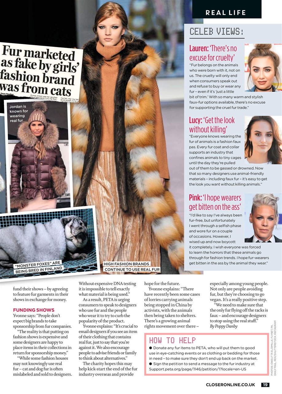 Closer Preview Pages