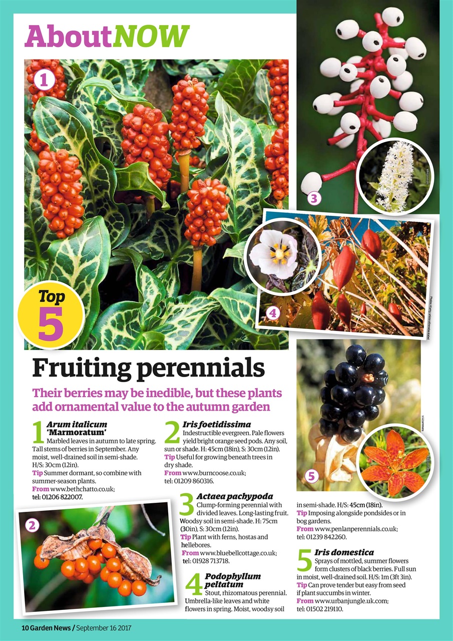 Garden News Preview Pages