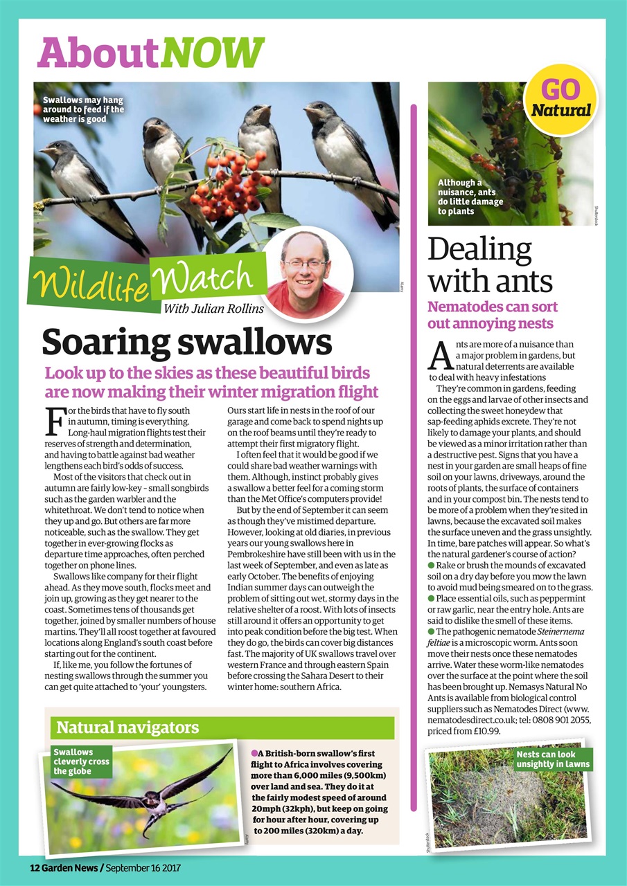 Garden News Preview Pages