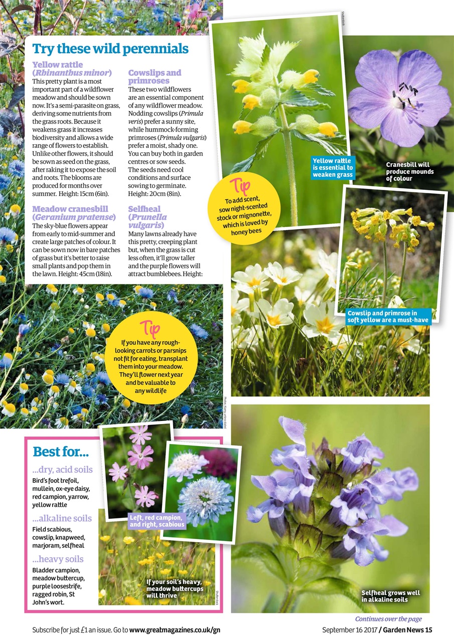 Garden News Preview Pages