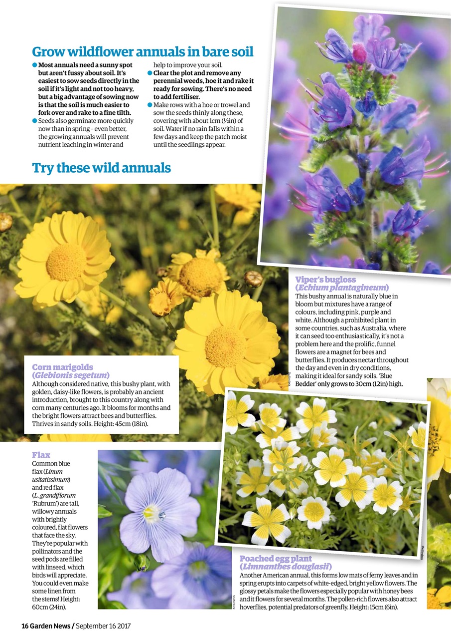 Garden News Preview Pages