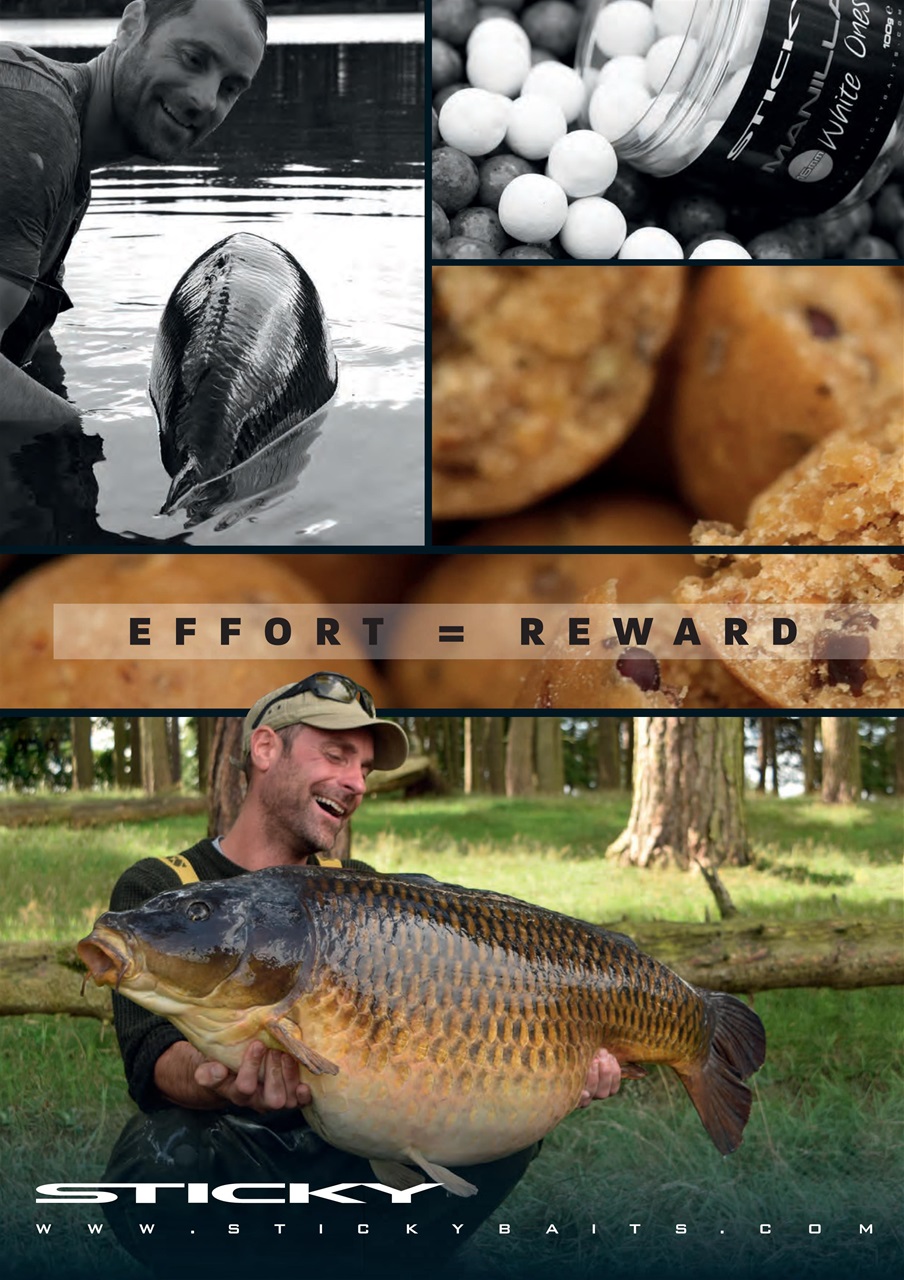 Carpworld Preview Pages