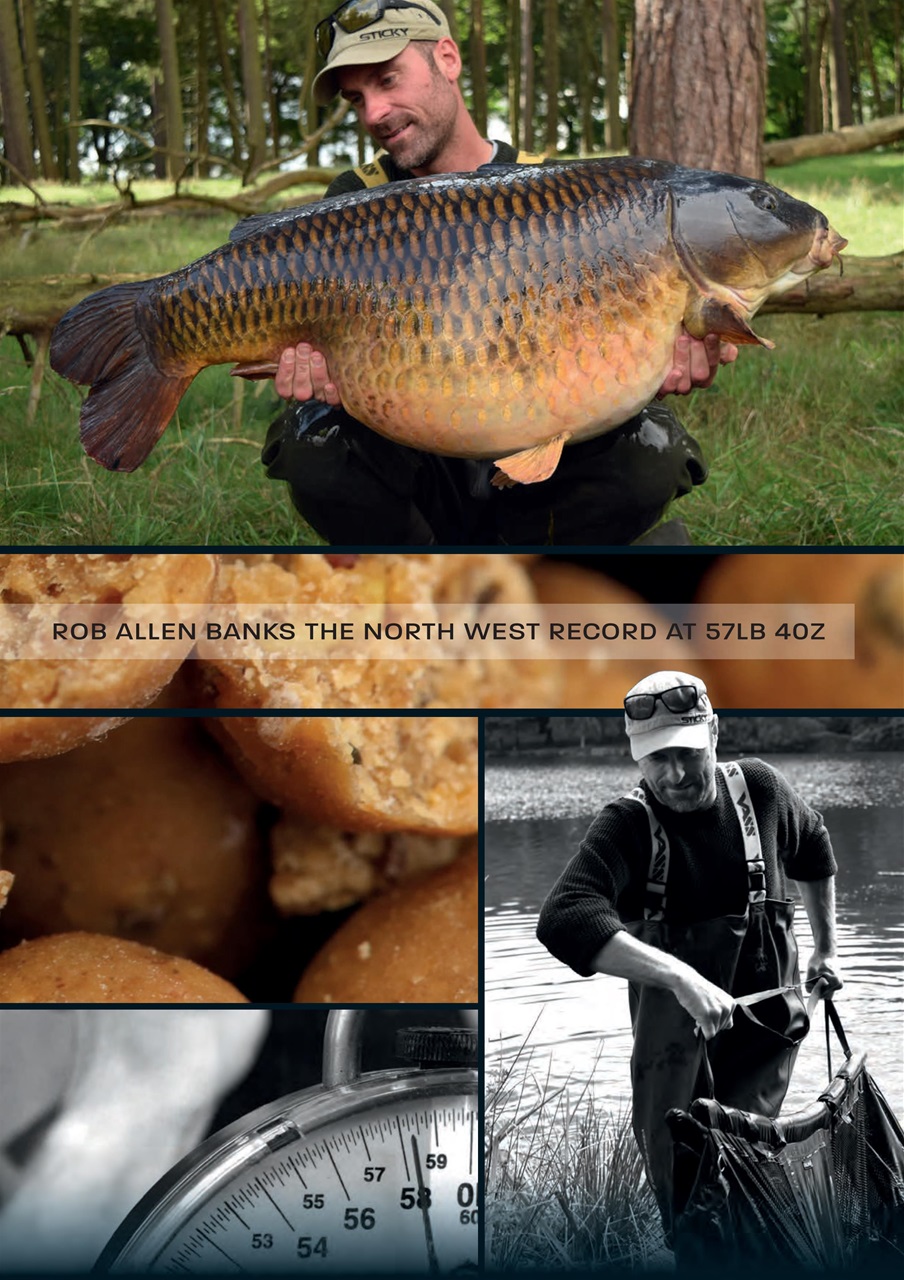 Carpworld Preview Pages