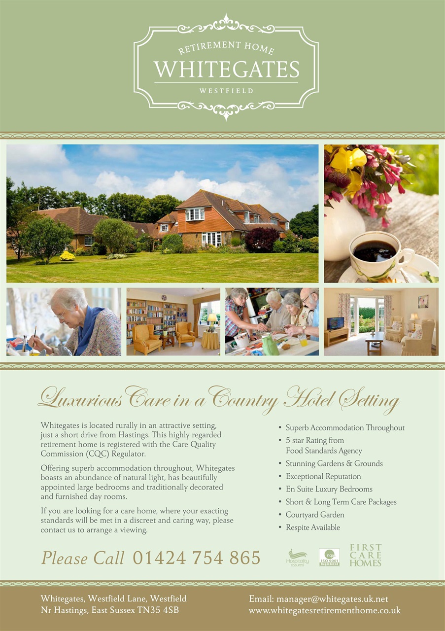 The Lady Preview Pages