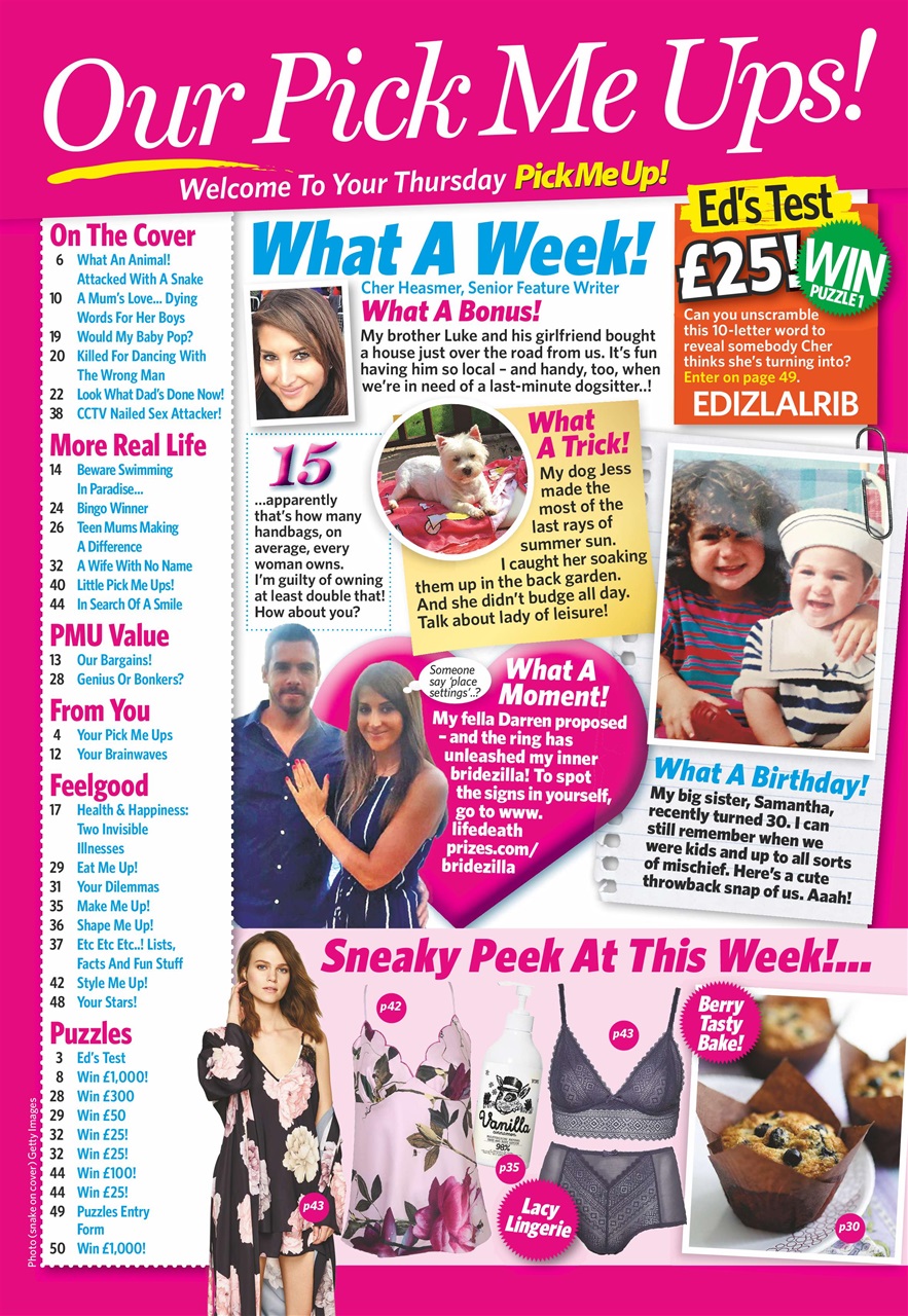 Pick Me Up Preview Pages