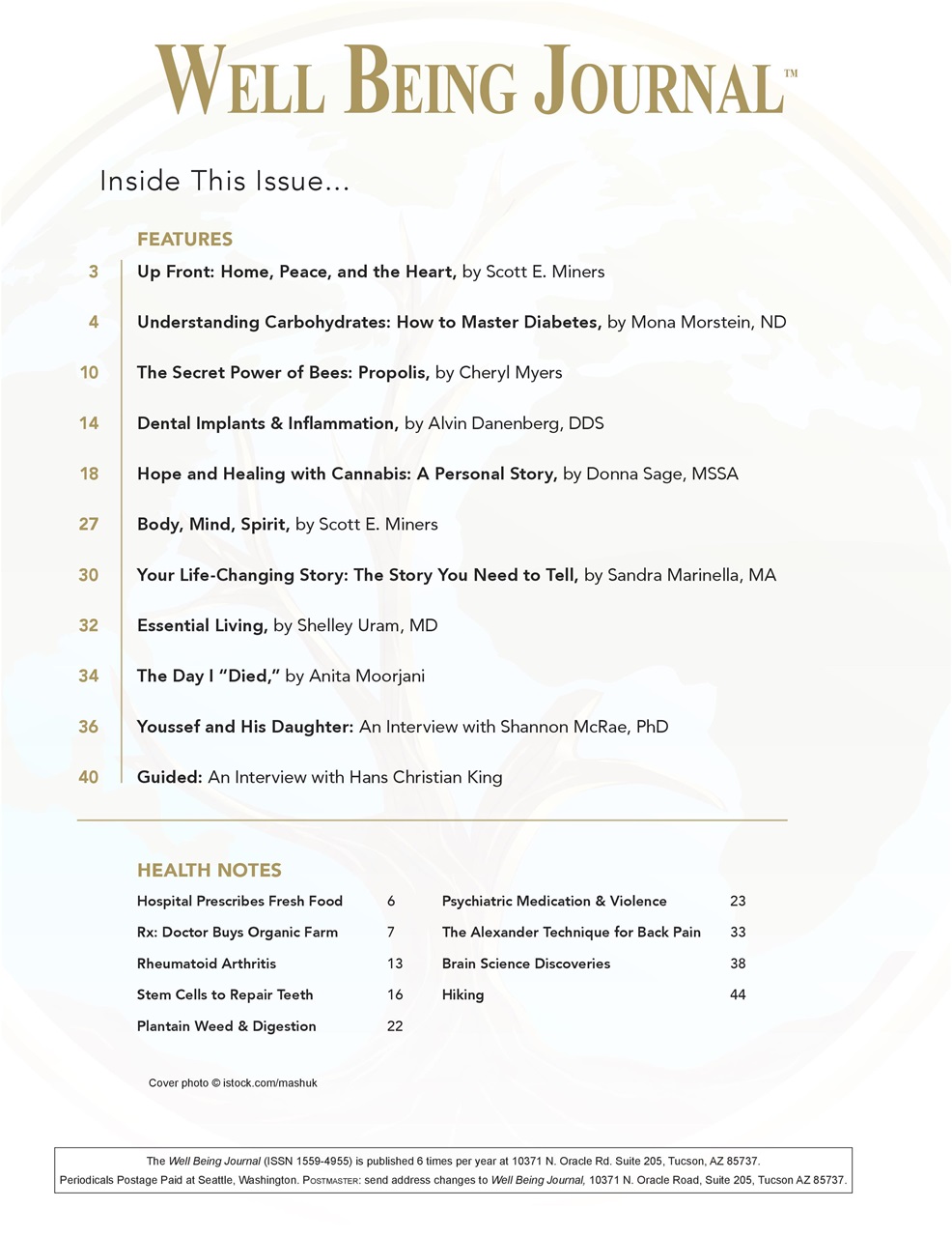 Well Being Journal Preview Pages