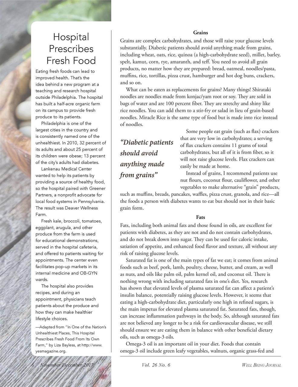 Well Being Journal Preview Pages