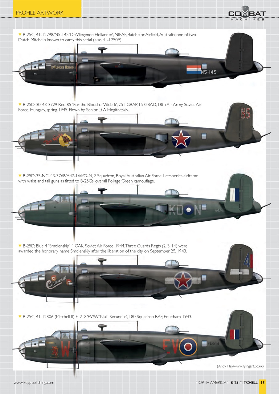 FlyPast Preview Pages