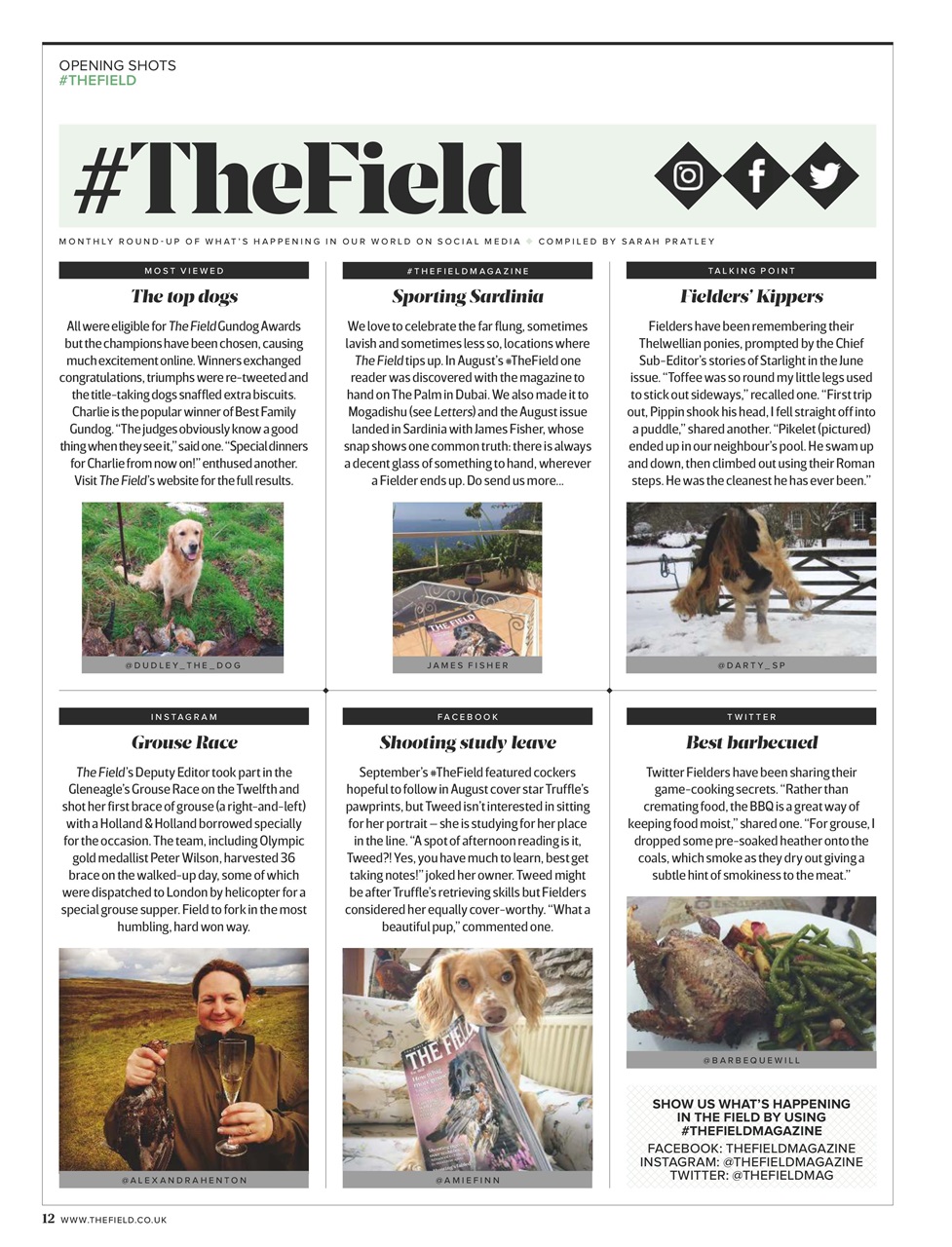 The Field Preview Pages