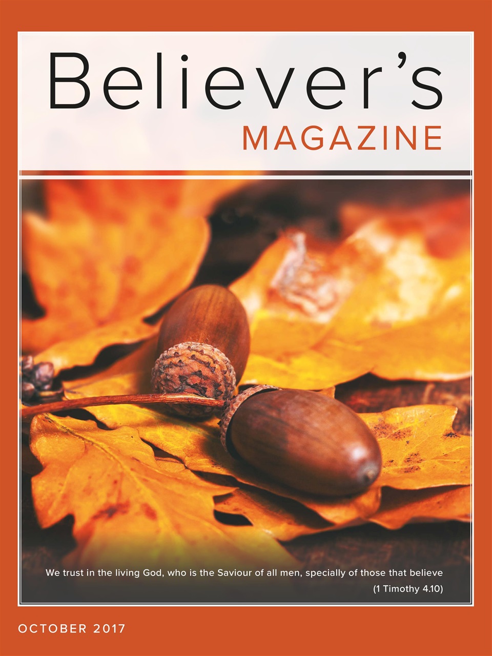 Believer Magazine Preview Pages