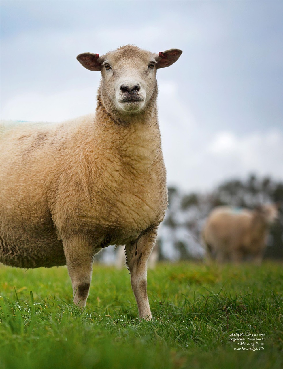 OUTBACK Magazine Preview Pages