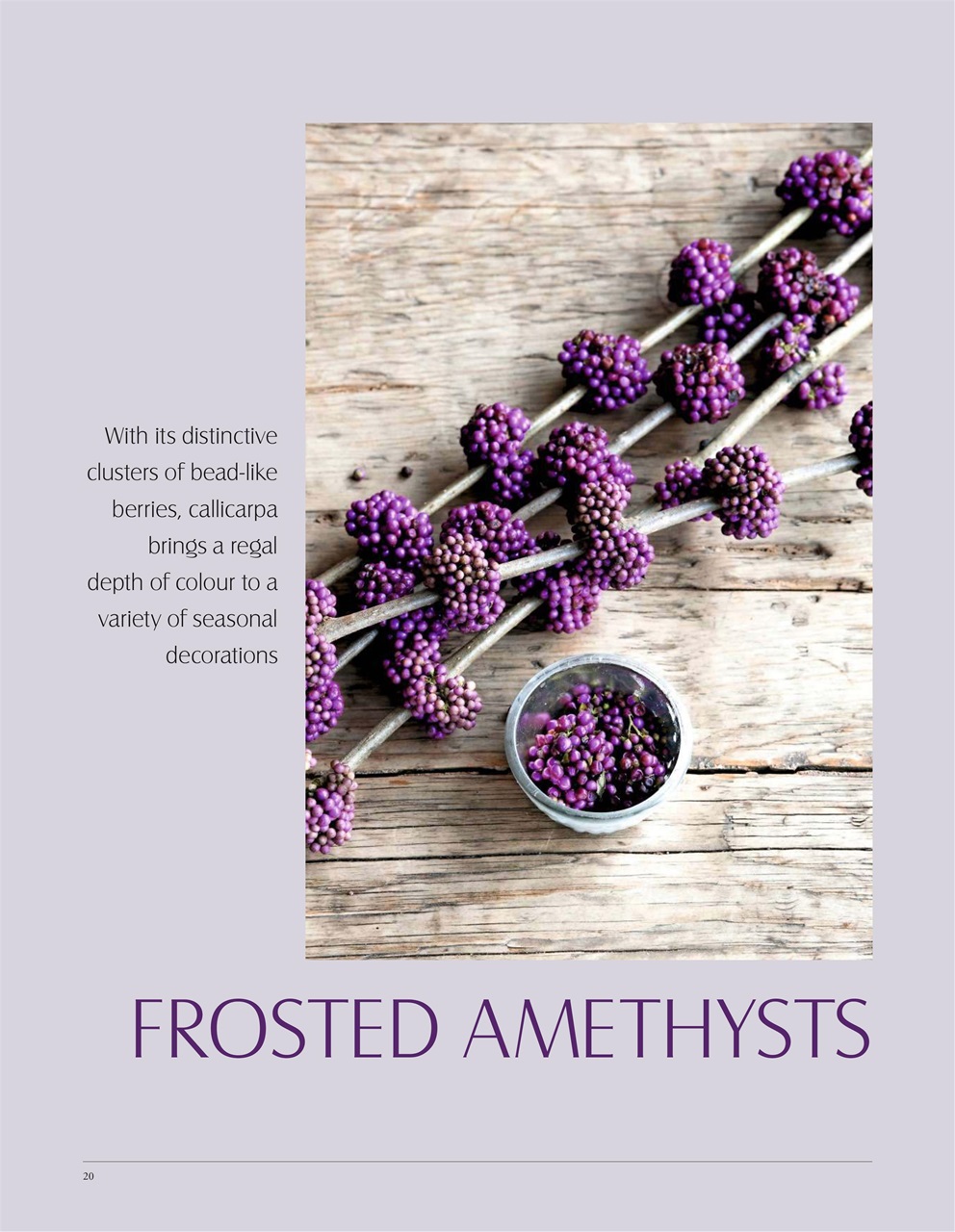 LandScape Preview Pages