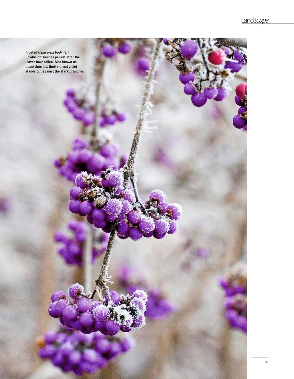 LandScape Preview Pages