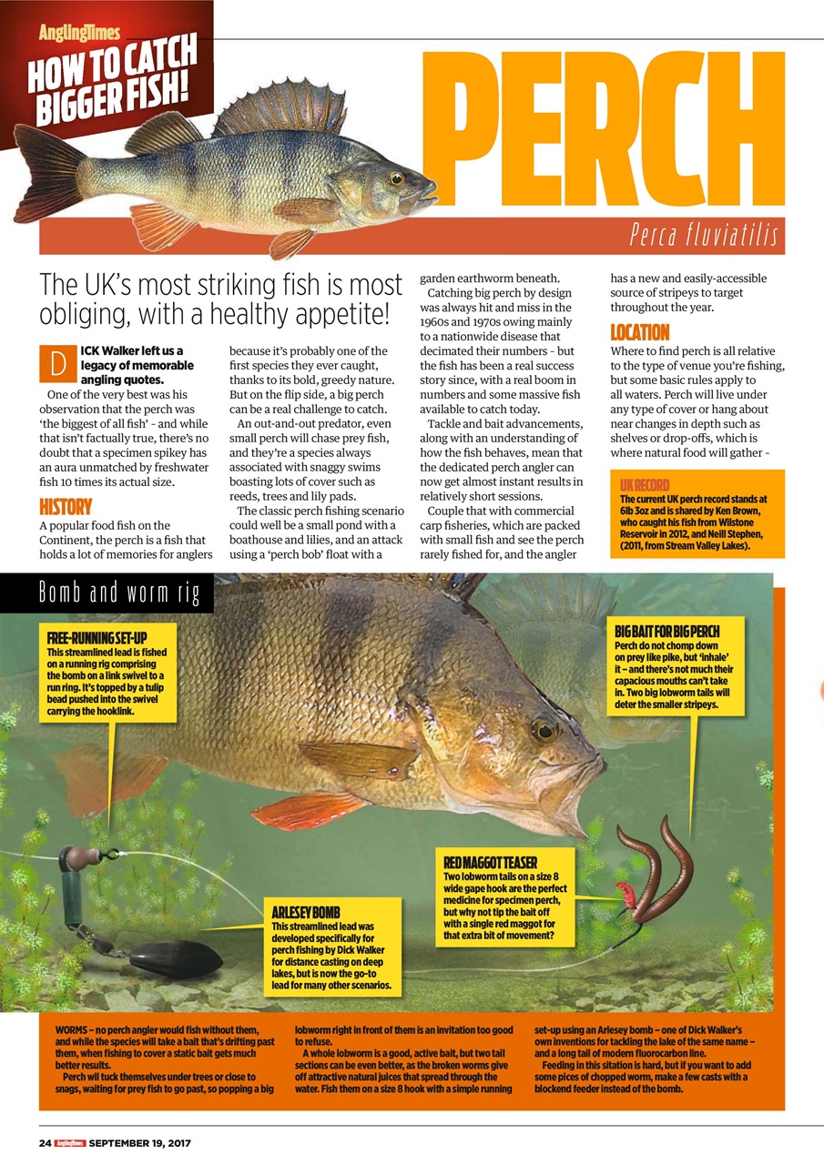 Angling Times Preview Pages