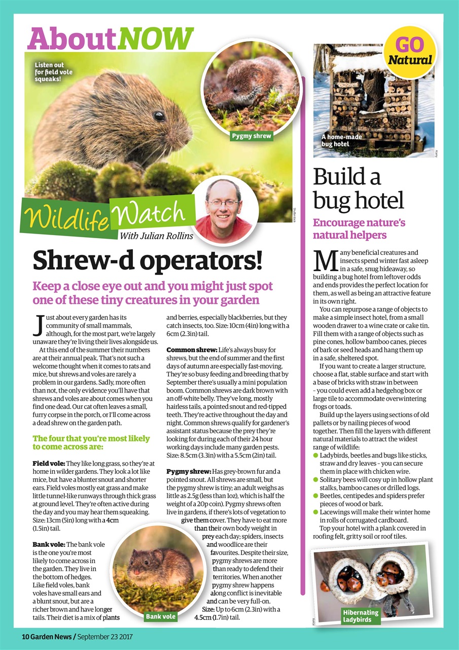 Garden News Preview Pages
