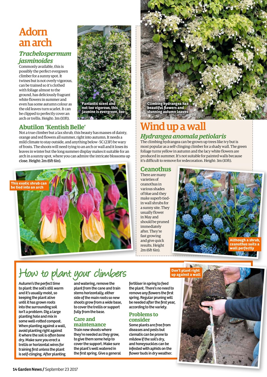 Garden News Preview Pages