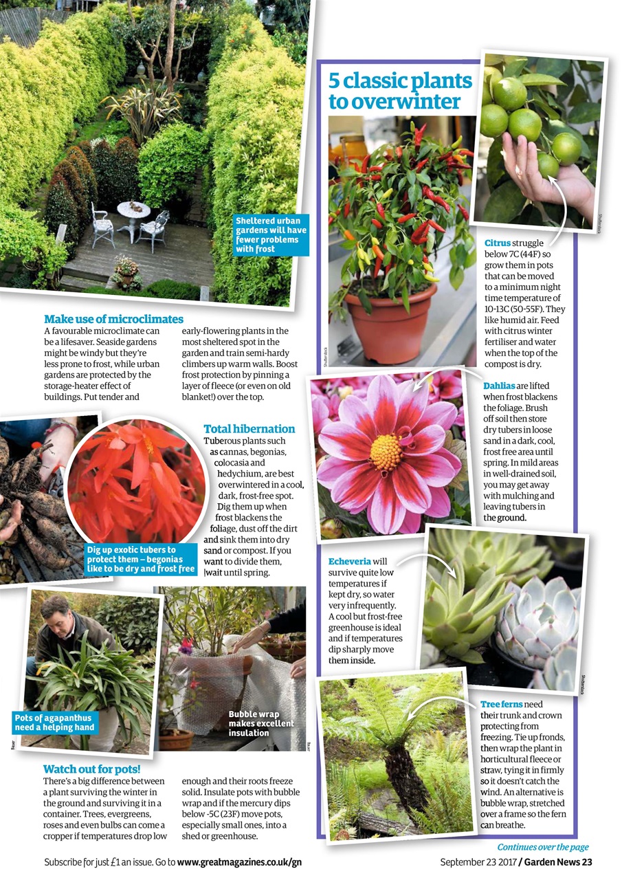 Garden News Preview Pages