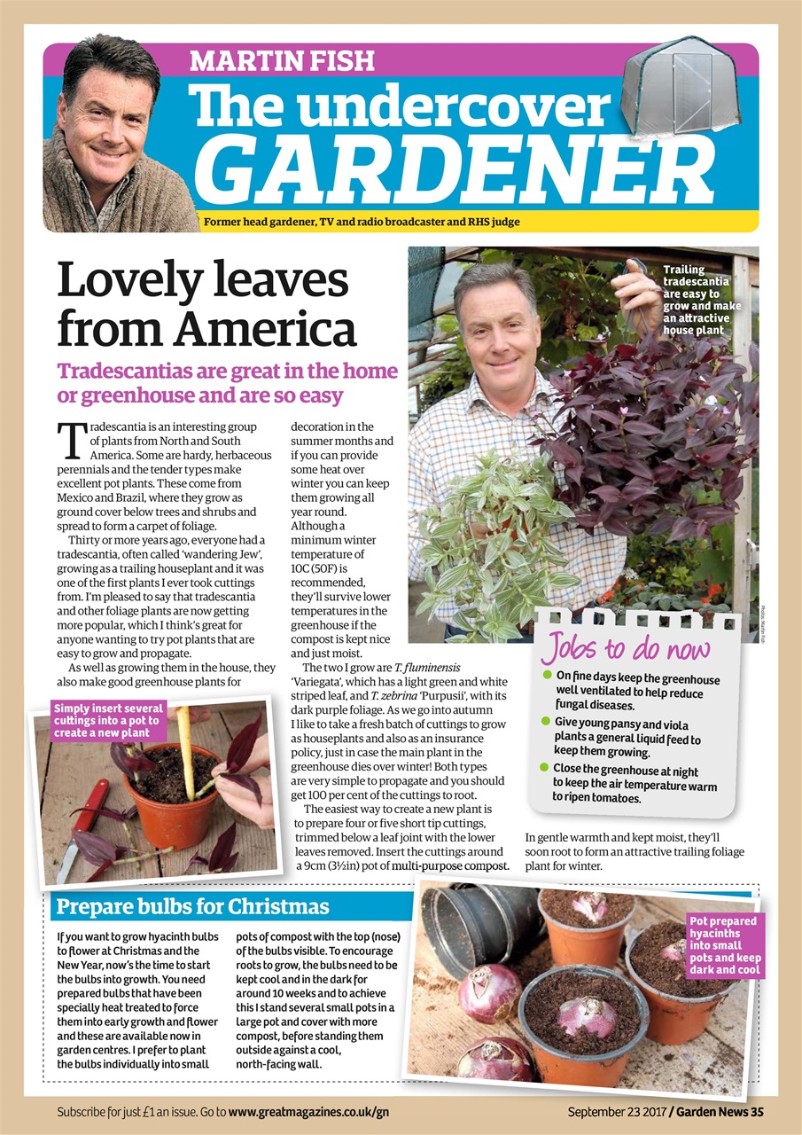 Garden News Preview Pages