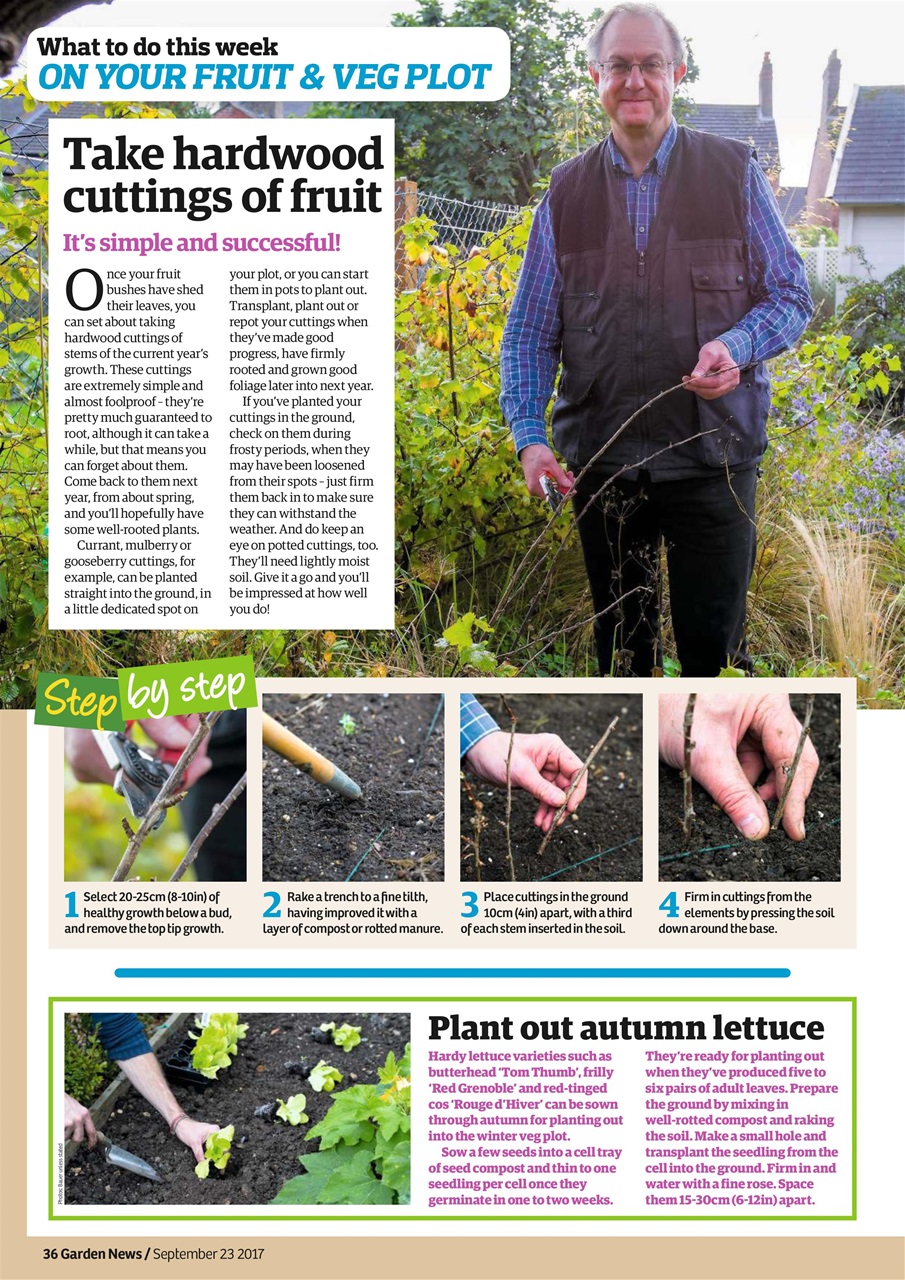 Garden News Preview Pages