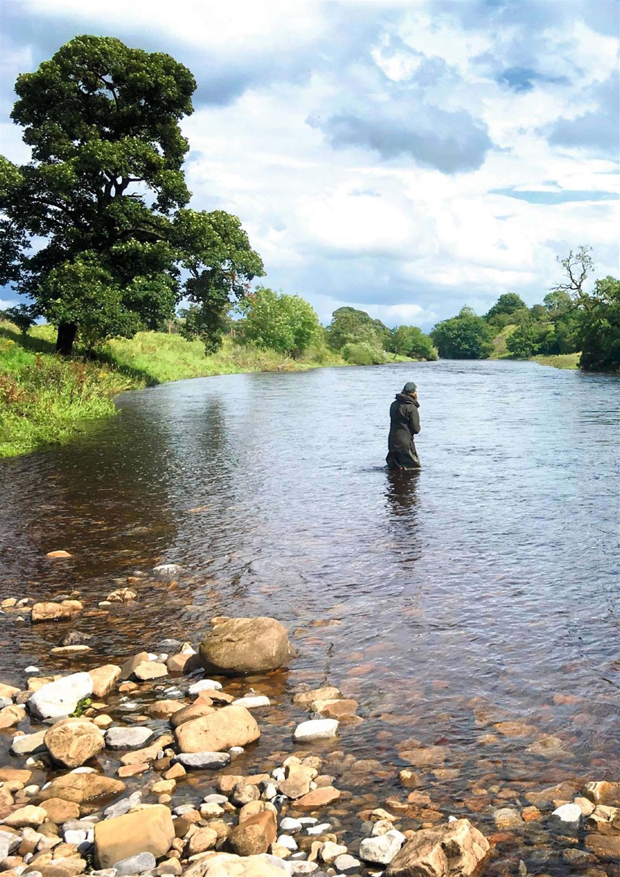 Trout & Salmon Preview Pages