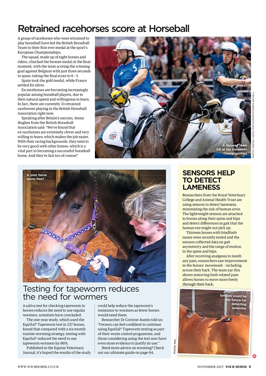 Your Horse Preview Pages