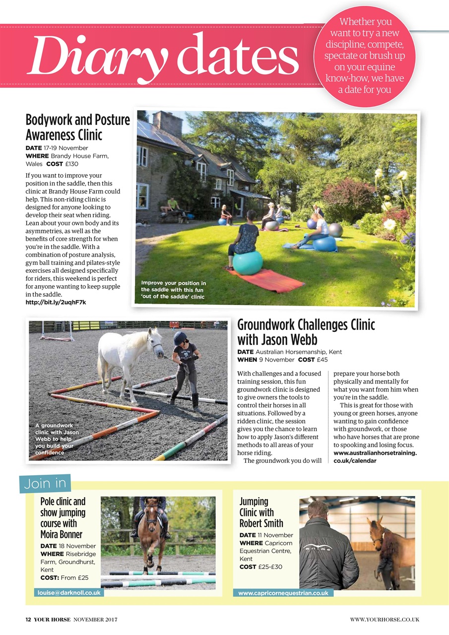 Your Horse Preview Pages