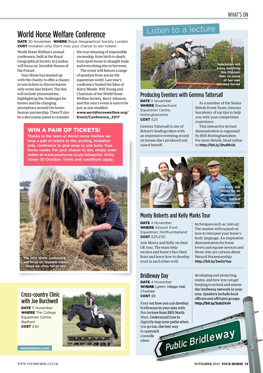 Your Horse Preview Pages