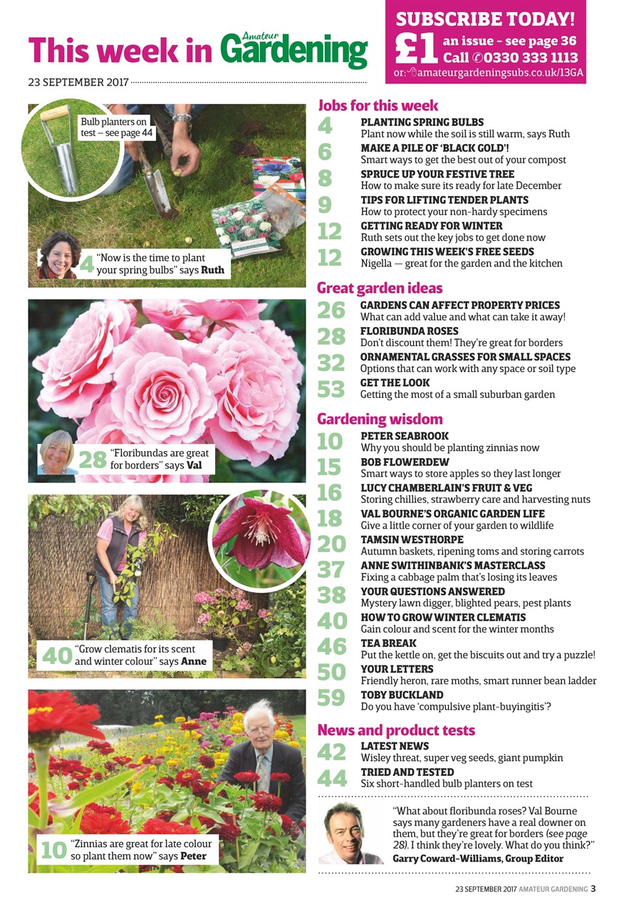 Amateur Gardening Preview Pages