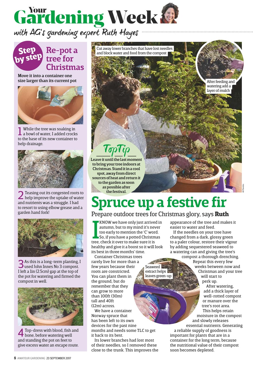 Amateur Gardening Preview Pages