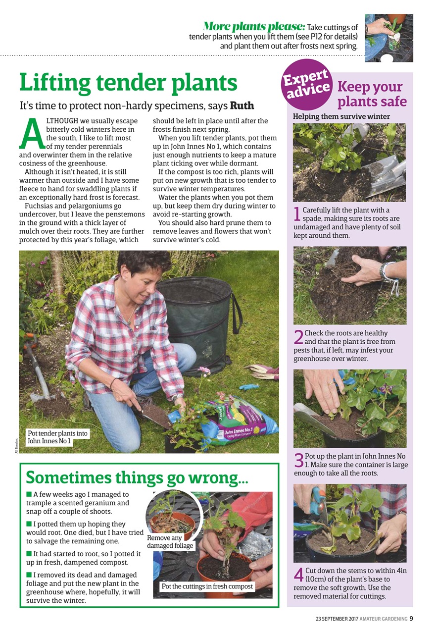 Amateur Gardening Preview Pages