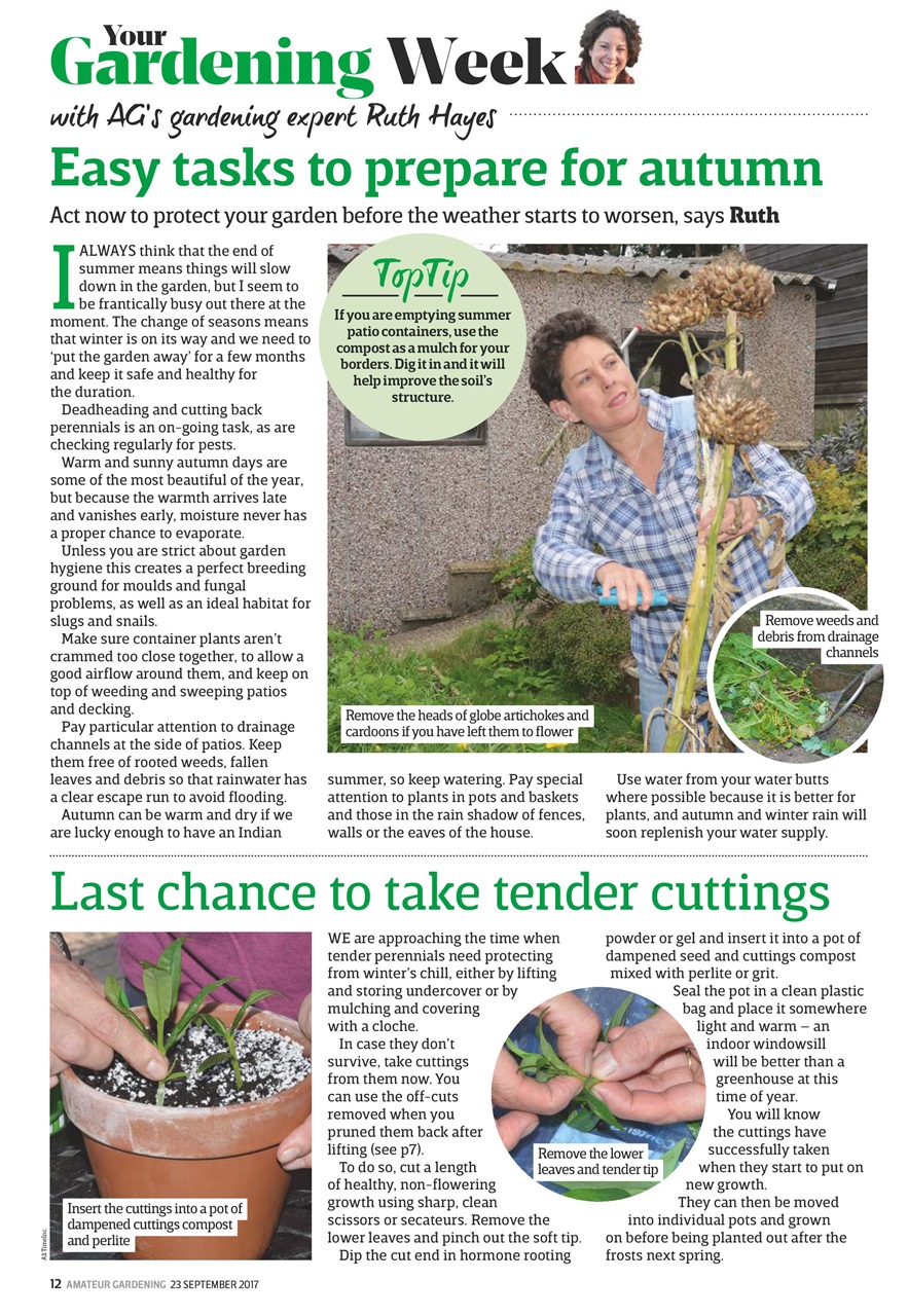 Amateur Gardening Preview Pages