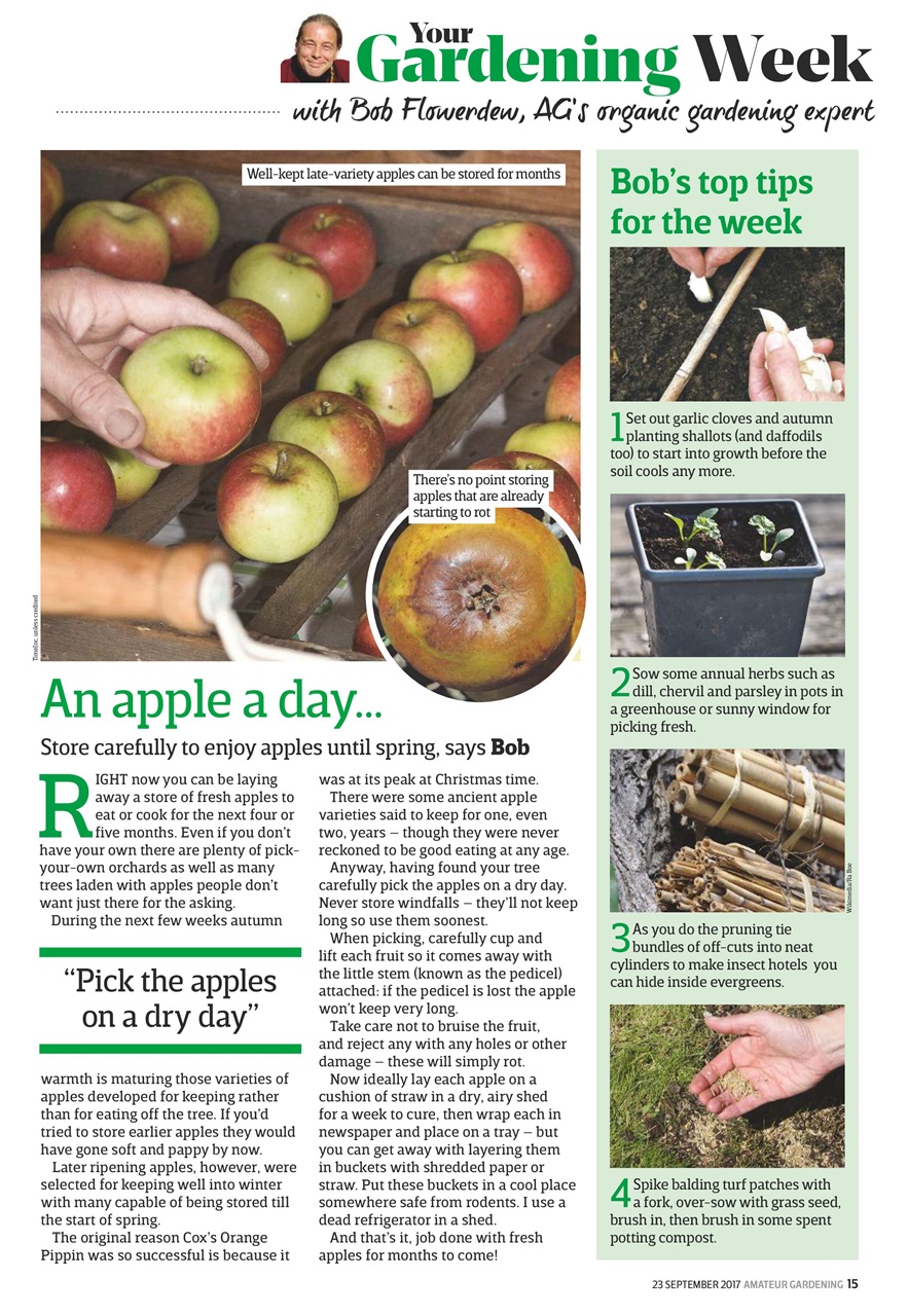 Amateur Gardening Preview Pages